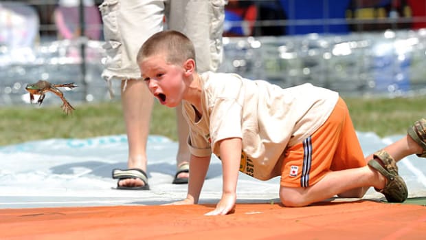 Frog Jump Festival - 1